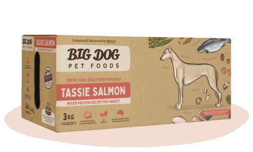 BIG DOG TASMANIAN SALMON RAW FOOD FOR DOGS 3KG