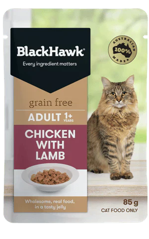 BLACKHAWK CAT CHICKEN WITH LAMB 12X85G