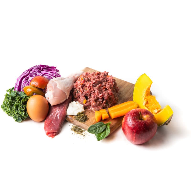 CANINE COUNTRY COMPOSITE RED PORTION TRAY