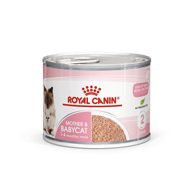 ROYAL CANIN CAT MOTHER & BABY 6X100G