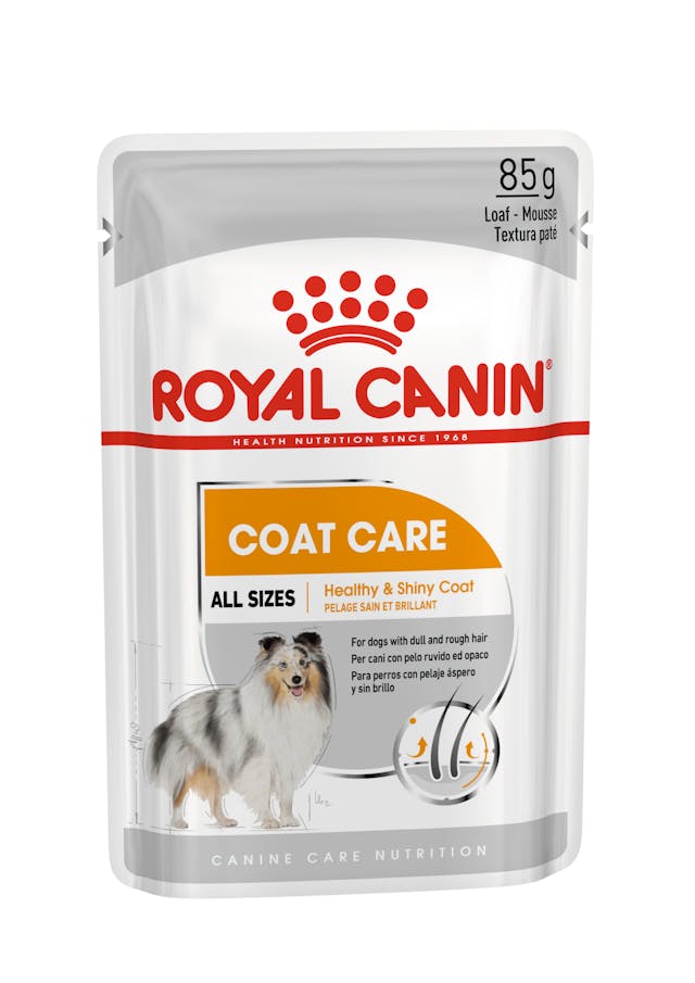 ROYAL CANIN COAT CARE 12X85G