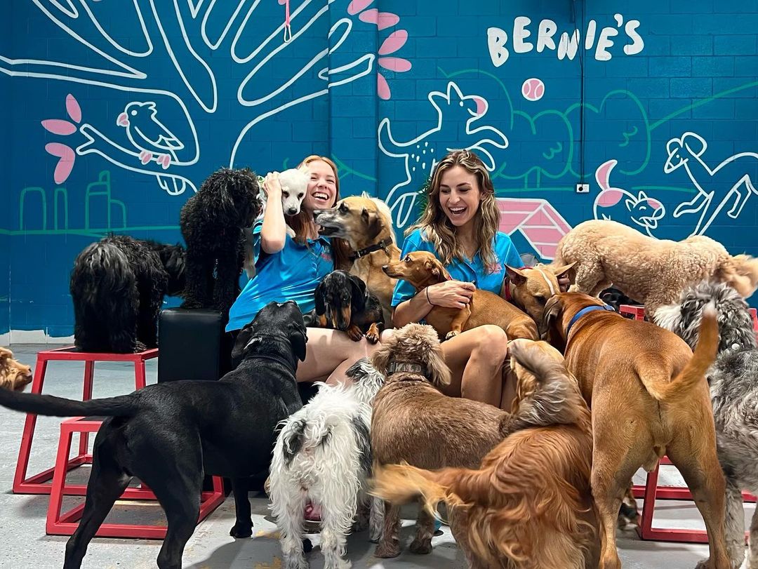 Bernie's Backyard Doggy Daycare