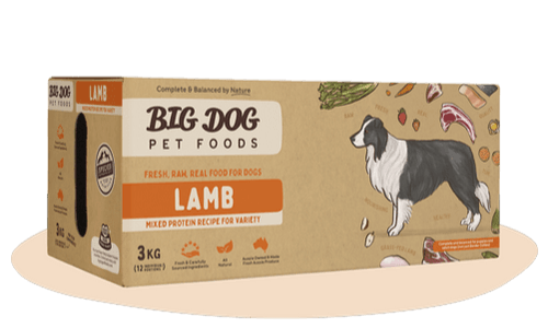 BIG DOG LAMB RAW FOOD FOR DOGS 3KG