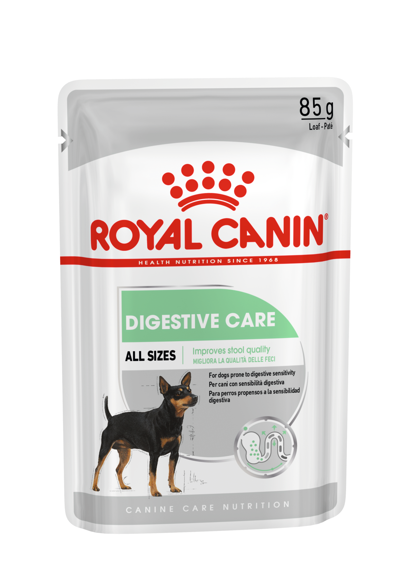 ROYAL CANIN DIGESTIVE CARE LOAF 12X85G